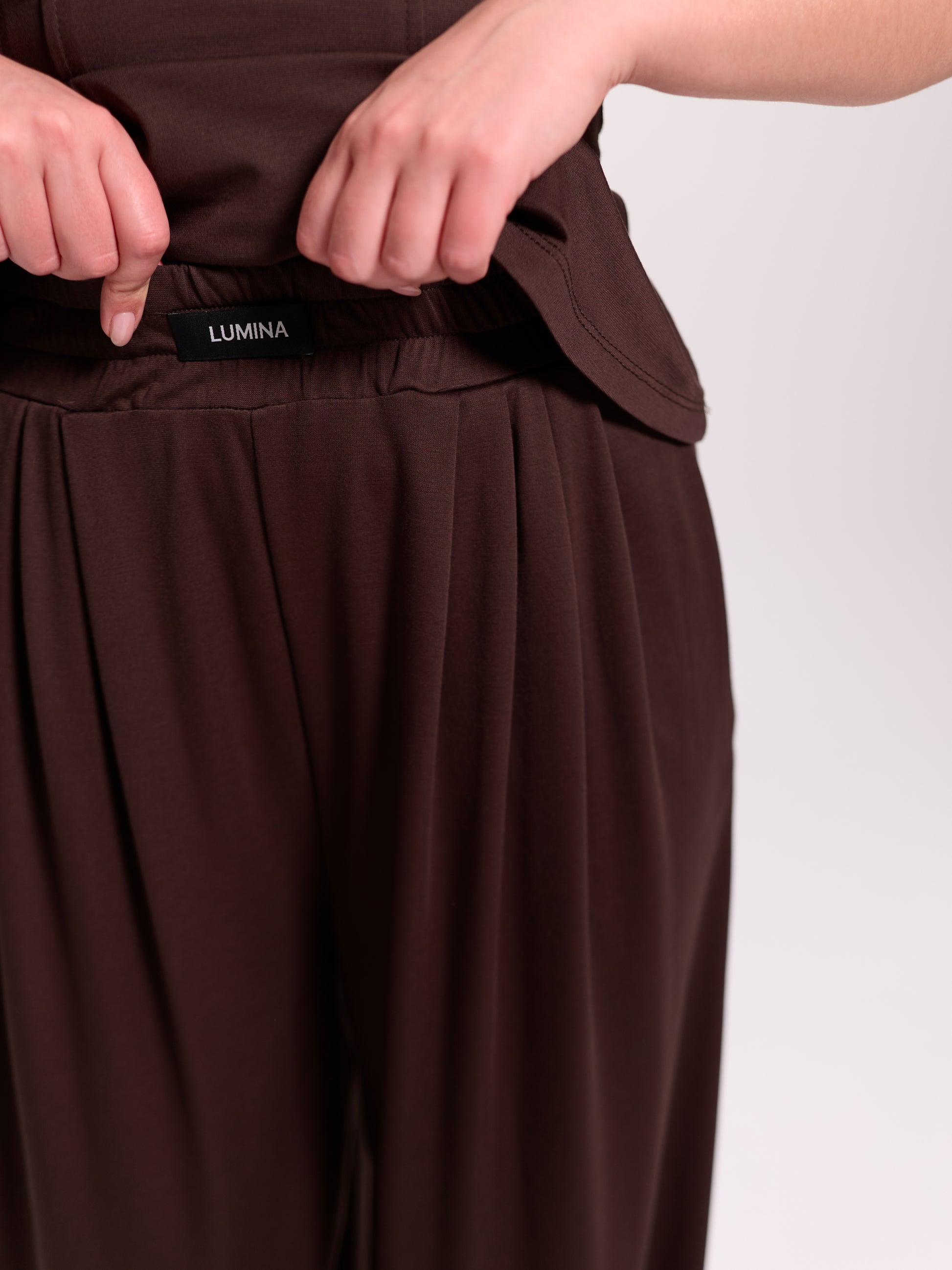 Brown Pleated Wide-Leg Trousers